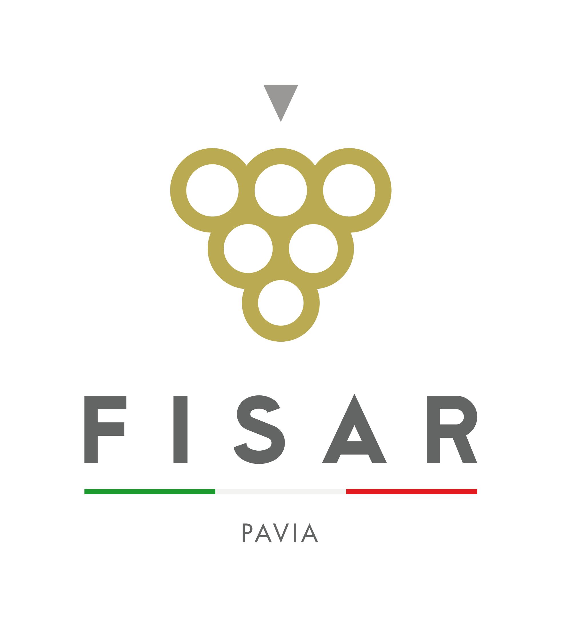 Logo FISAR